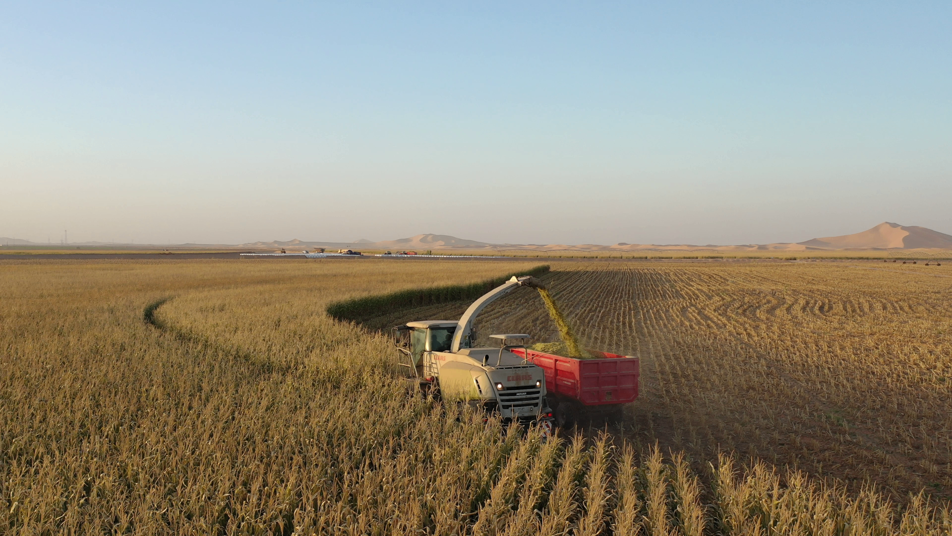 Agriculture